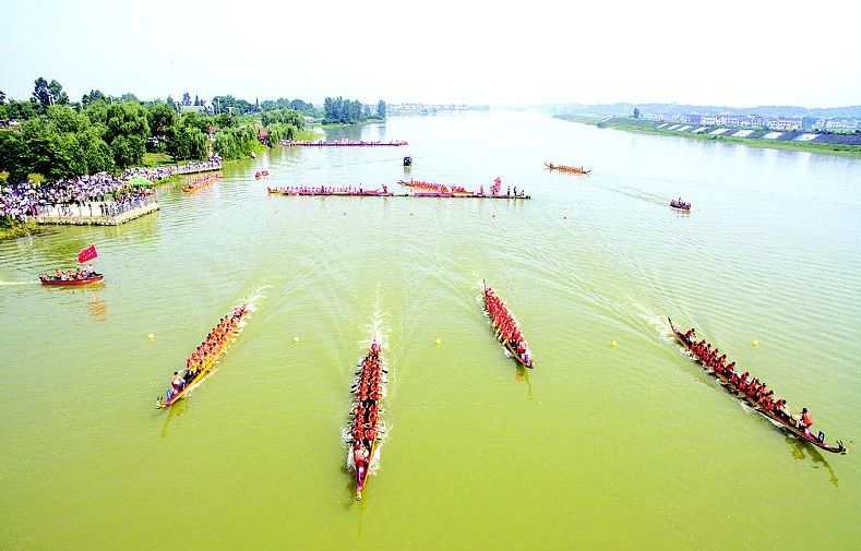 timg (4).jpg timg (4).jpg