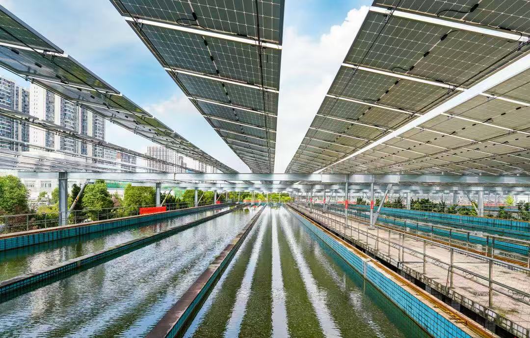 水業(yè)集團(tuán).jpg 水業(yè)集團(tuán).jpg